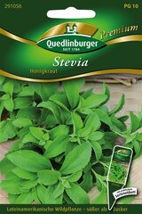 Stevia Honigkraut (Süßkraut)