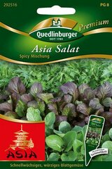 Asia Salat Spicy Mischung