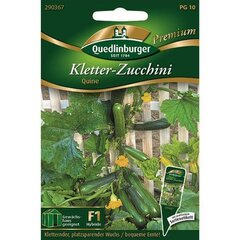 Kletter-Zucchini Quine