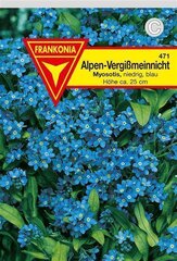 Vergißmeinnicht blau Frankonia Samen