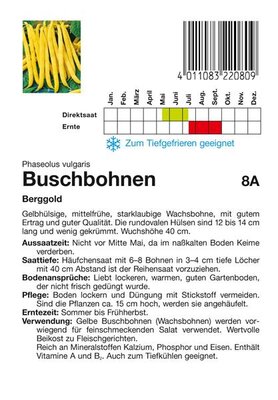 Buschbohnen Berggold