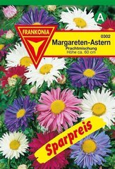 Margareten-Astern Frankonia Samen