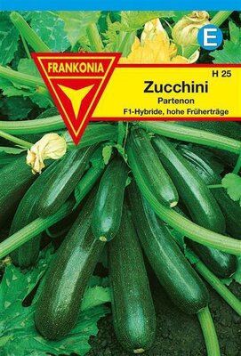 Zucchini Partenon F1 Frankonia Samen