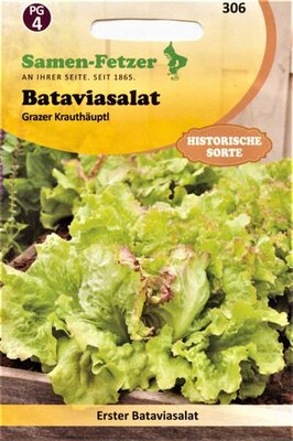 Bataviasalat Grazer Krauthäuptl