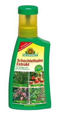 Schachtelhalm-Extrakt