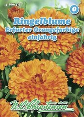 Ringelblume Erfurter Orangefarbige