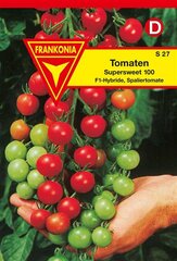 Tomaten Supersweet 100 F1 Frankonia Samen