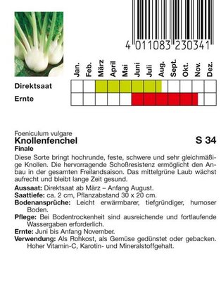 Knollenfenchel Finale