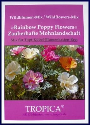 Rainbow Poppy Flower Zauberhafte Mohnlandschaft