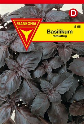 Basilikum rotblättrig Frankonia Samen