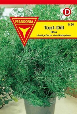 Topf-Dill Hera Frankonia Samen