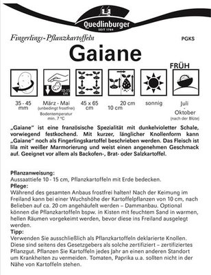 Pflanzkartoffel Gaiane (10 Stück)