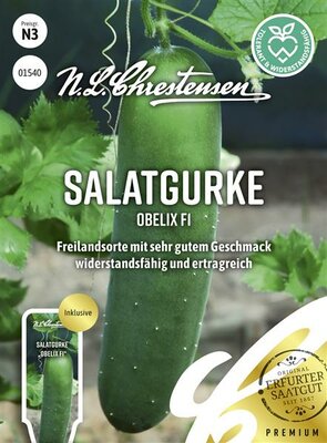 Salatgurke Obelix F1
