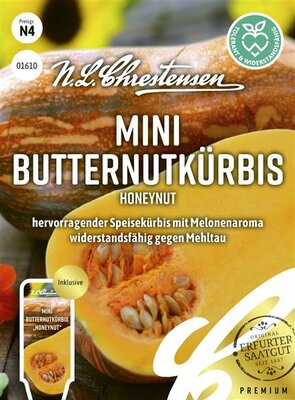Mini Butternutkürbis Honeynut