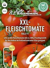 XXL-Fleischtomate Rally F1