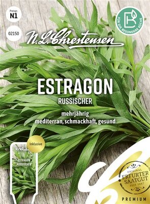 Estragon Russischer