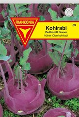 Kohlrabi Delikateß Blauer Frankonia Samen
