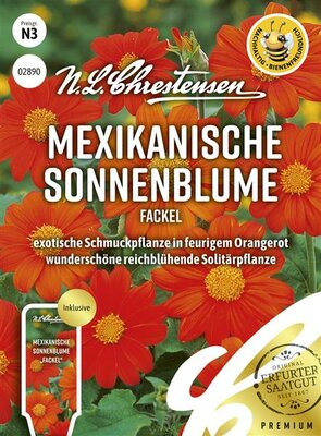 Mexikanische Sonnenblume Fackel