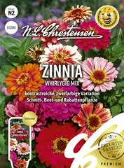 Zinnia Whirlygig Mix