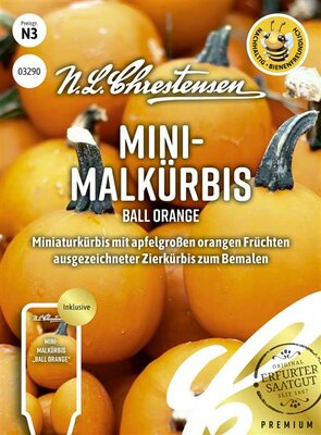 Mini Malkürbis Ball Orange