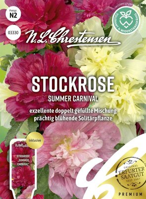 Stockrose Summer Carnival