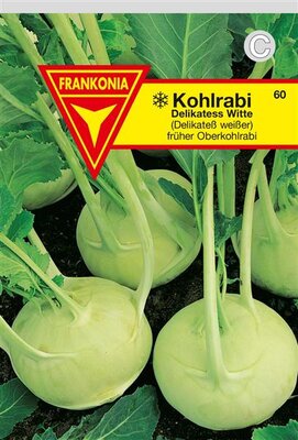 Kohlrabi Delikateß Witte Frankonia Samen