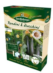 Anzucht-Set Rondini & Zucchini