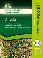 Keimsprossen Alfalfa