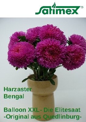 Balloon Harzaster XXL Bengal