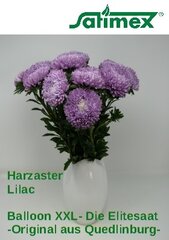 Balloon Harzaster XXL Lilac
