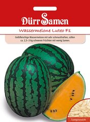 Wassermelone Luteo F1