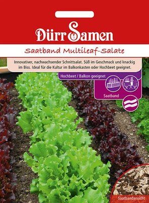 Multileaf-Salat Saatband