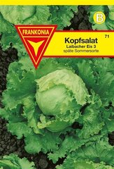 Kopfsalat Laibacher Eis 3 Frankonia Samen