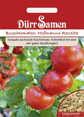 Tomate Hofmanns Rentita Buschtomate