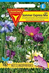 Sommer Express Mix