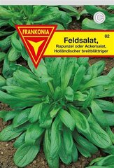 Feldsalat Holländ. breitblättriger Frankonia Samen