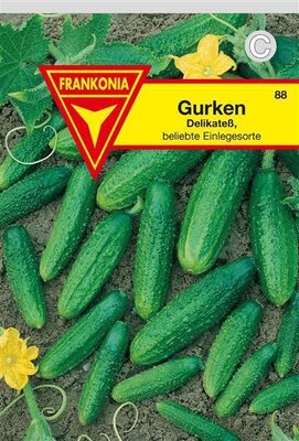 Gurken Delikateß Frankonia Samen