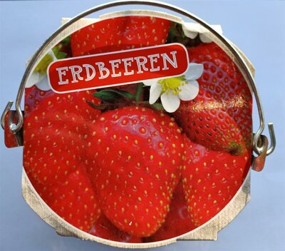 Erdbeeren im Mini-Zinkeimer