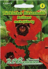 Stockrose /'Spring Celebrities Crimson/' Alcea halbgefüllte Blüten  50016 Saatgut