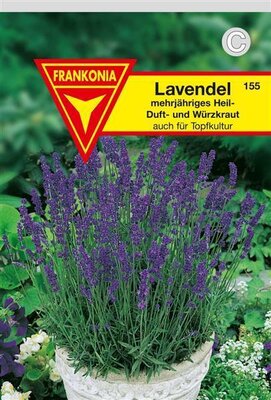 Lavendel Frankonia Samen
