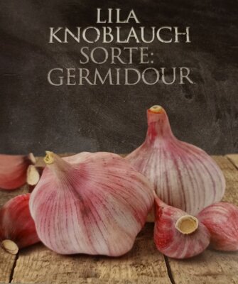 Pflanzknoblauch lila Germidour 250 g